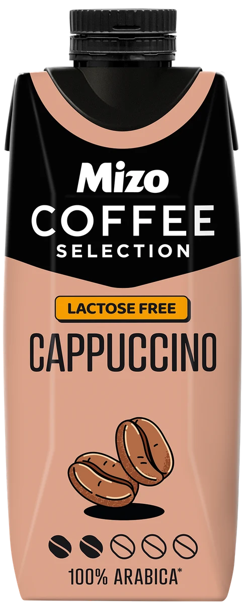 CAPPUCCINO 250 ml tetra pak